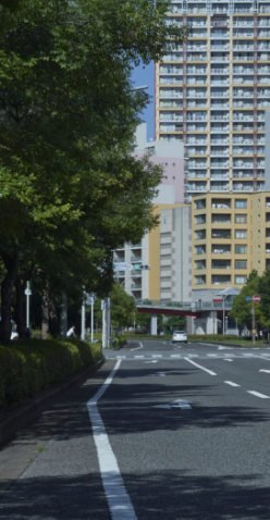 偏光ダークグレー