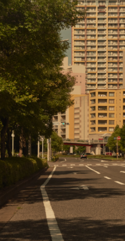 偏光ダークブラウン