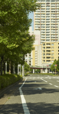 偏光セージグリーン