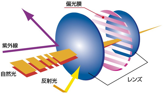 偏光レンズの仕組み