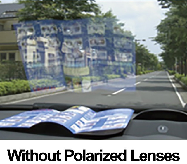 without Polarized Lenses