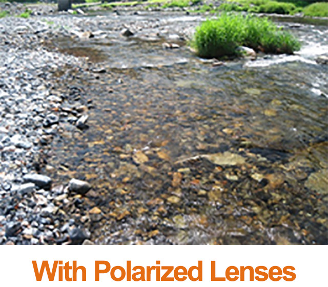 with Polarized Lenses